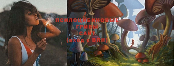 mdpv Кулебаки