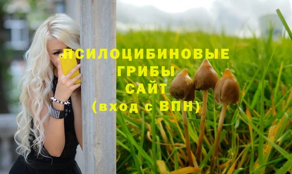 mdpv Кулебаки
